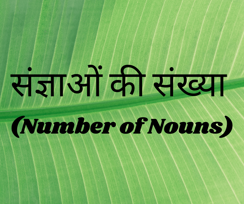संज्ञाओं की संख्या (Number of Nouns)
